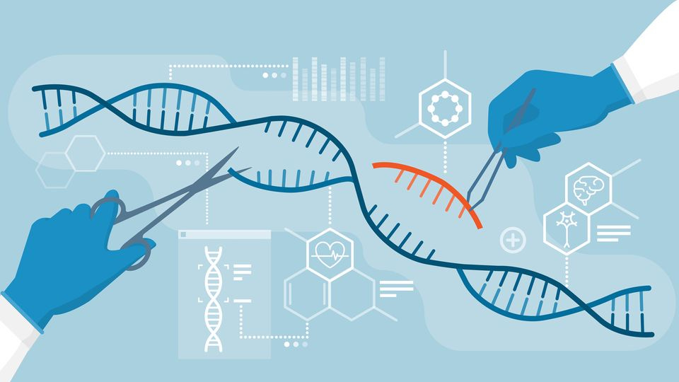 Genetic Modification Techniques and Applications | Technology Networks Genetic Modification Techniques and Applications | Technology Networks